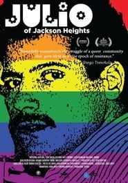 Julio of Jackson Heights series tv