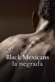 Black Mexicans series tv