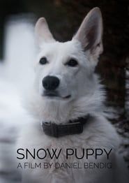 Snow Puppy series tv