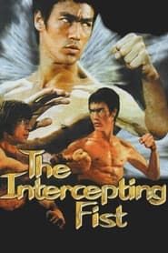 Bruce Lee: The Intercepting Fist series tv