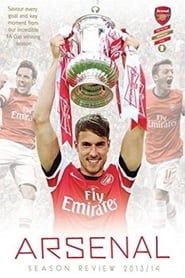 Image Arsenal: Season Review 2013-2014
