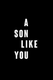 A Son Like You series tv
