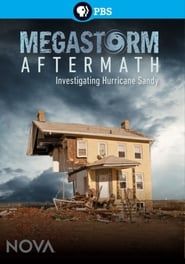 Megastorm Aftermath series tv