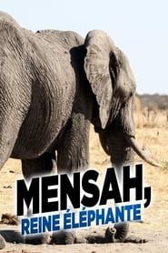 Image Mensah, reine éléphante