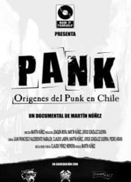 Image Pank : Origins of Punk Music in Chile 2010