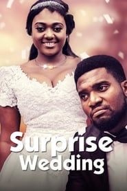 Surprise Wedding series tv