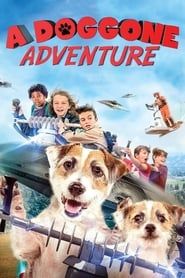 A Doggone Adventure series tv
