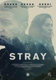 Stray 2018 streaming