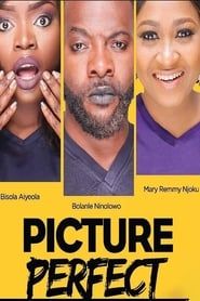 Picture Perfect series tv