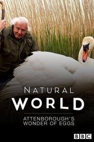 Attenborough's Wonder of Eggs series tv
