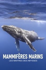 Mammifères marins - les maîtres des abysses series tv