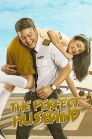 The Perfect Husband series tv