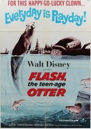 Flash, The Teenage Otter series tv