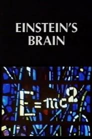 Image Relics: Einstein's Brain 1994