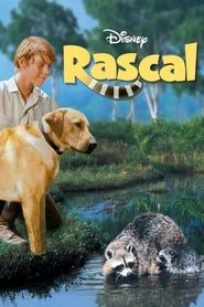 Un raton nommé rascal (1969)