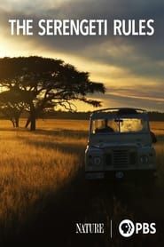 Image Serengeti, les clés de notre avenir - Une enquête écologique