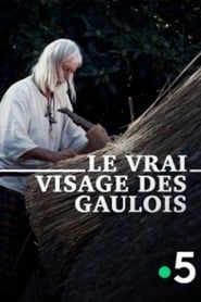 Le Vrai Visage des Gaulois series tv