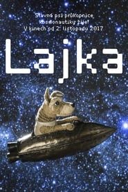 Laïka-hd