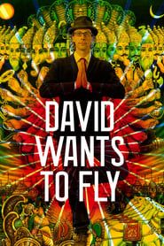 David Wants to Fly series tv