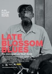 Late Blossom Blues series tv