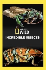 Incredible Insects series tv