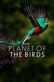 Planet of the Birds series tv