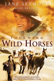 Image Touching Wild Horses 2002