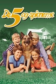 Five and the Spies series tv