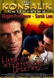Liebe im Schatten des Drachen (1998)