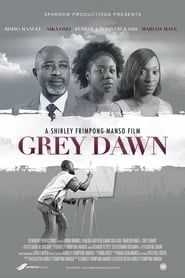 Grey Dawn series tv