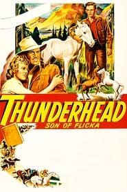 Le Fils de Flicka - Thunderhead 1945 streaming
