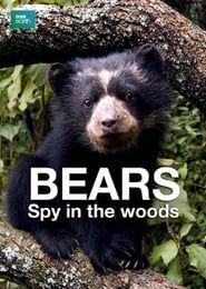 Bears: Spy in the Woods series tv