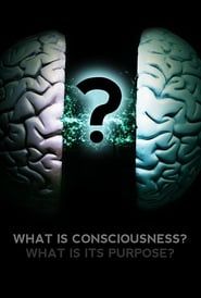 Image What Is Consciousness? What Is Its Purpose?