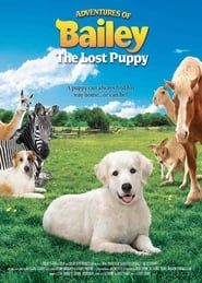 Adventures of Bailey: The Lost Puppy (2011)