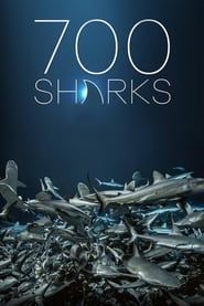 700 requins dans la nuit 2018 streaming