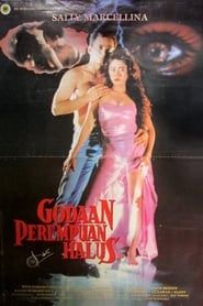 The Temptation of a Fine Woman (1993)