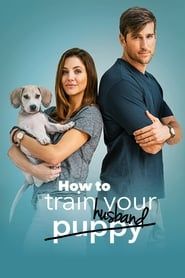 How to Train Your Husband series tv