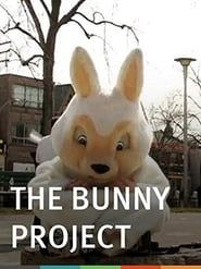 The Bunny Project series tv