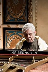 Image Mr Bernstein 2016