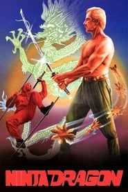 Affiche de Ninja Dragon