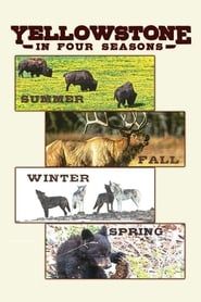 Image Yellowstone in Four Seasons