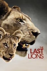The Last Lions series tv