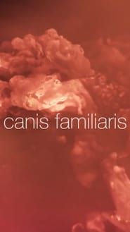 Canis familiaris series tv