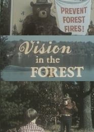 Image Vision In The Forest