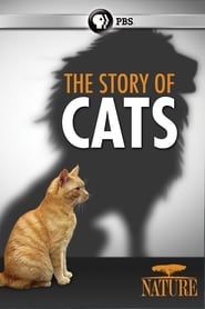 The Story of Cats series tv