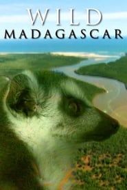 Wild Madagascar series tv