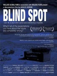 Image Blind Spot 2008