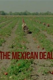 Le Deal mexicain series tv