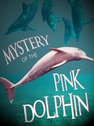 The Mystery of the Pink Dolphin series tv