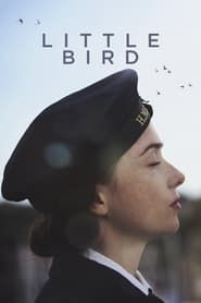 Little Bird (2017)